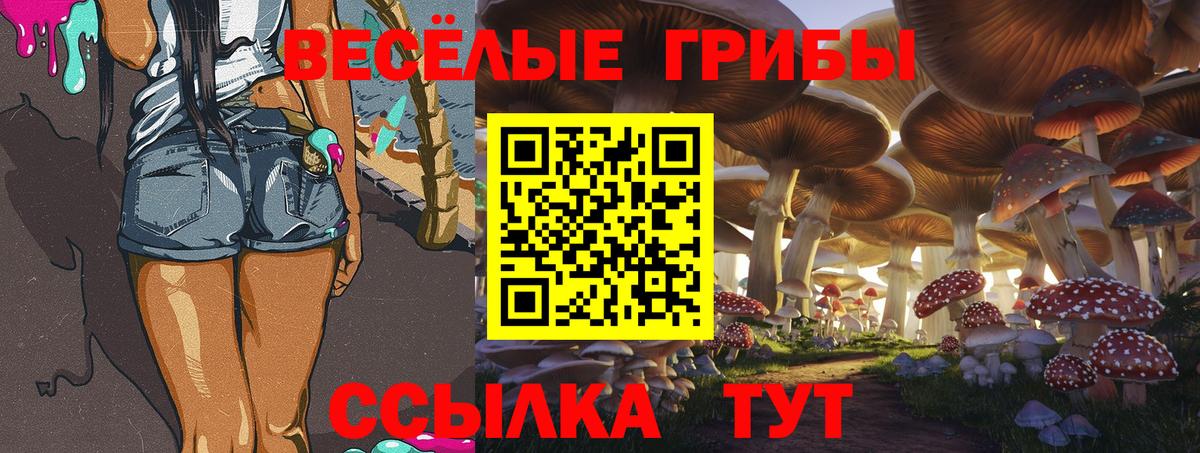 Псилоцибиновые грибы GOLDEN TEACHER Чапаевск