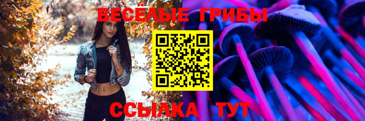 Чапаевск  Псилоцибиновые грибы мухоморы  Вход с VPN 